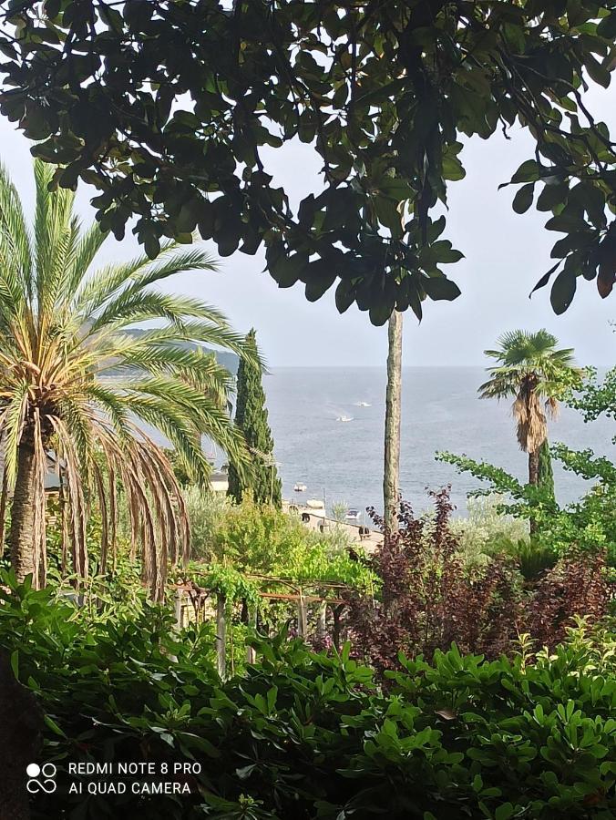 Apartment Cepic Herceg Novi Dış mekan fotoğraf