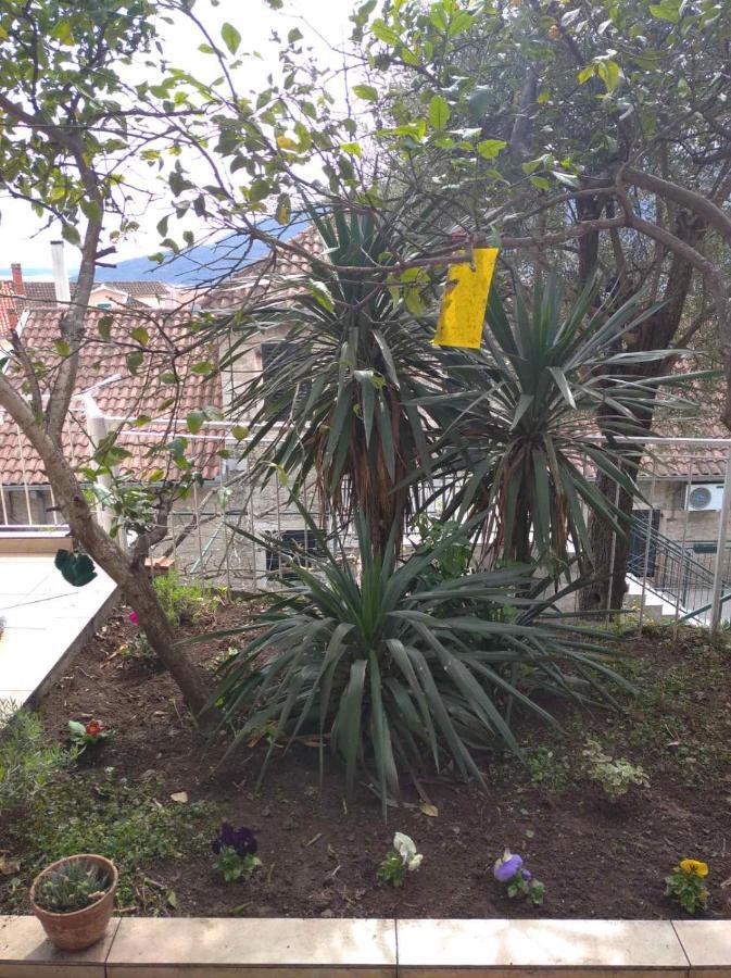 Apartment Cepic Herceg Novi Dış mekan fotoğraf